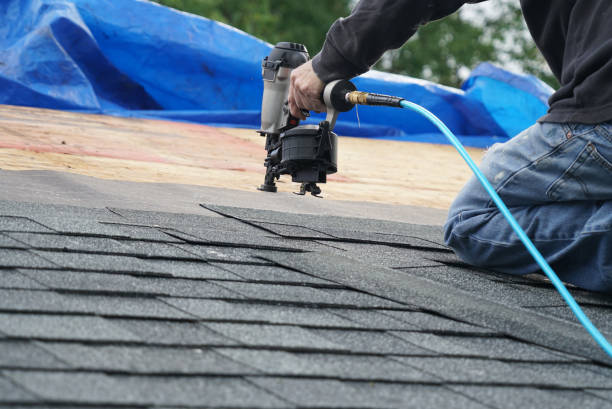 Best Roof Gutter Cleaning  in Hanapepe, HI