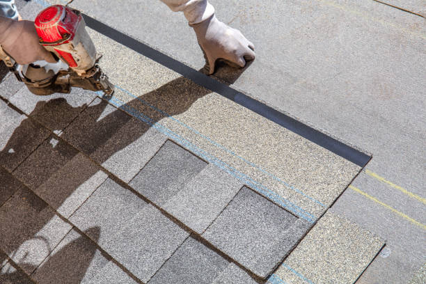 Best Metal Roofing Contractor  in Hanapepe, HI